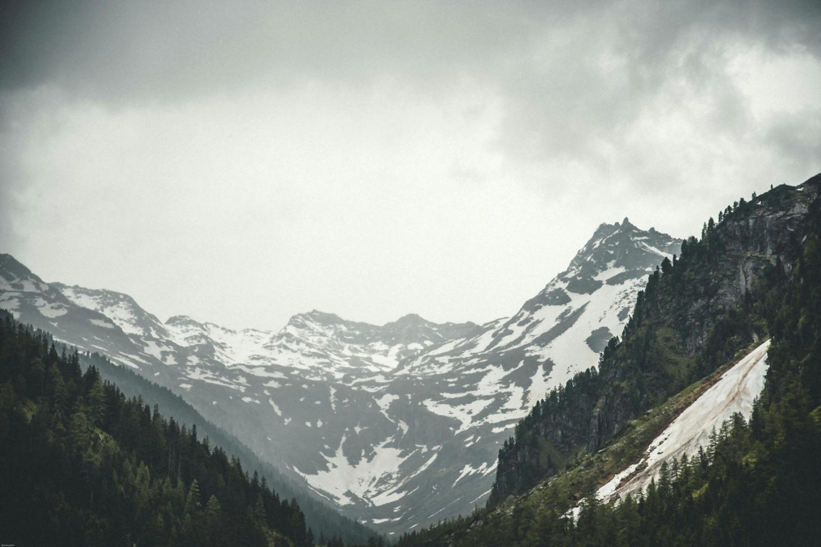 Совместная работа над образовательными программами