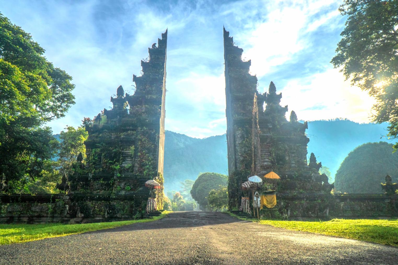 Процесс организации образовательных консультаций в Stellarova Labs